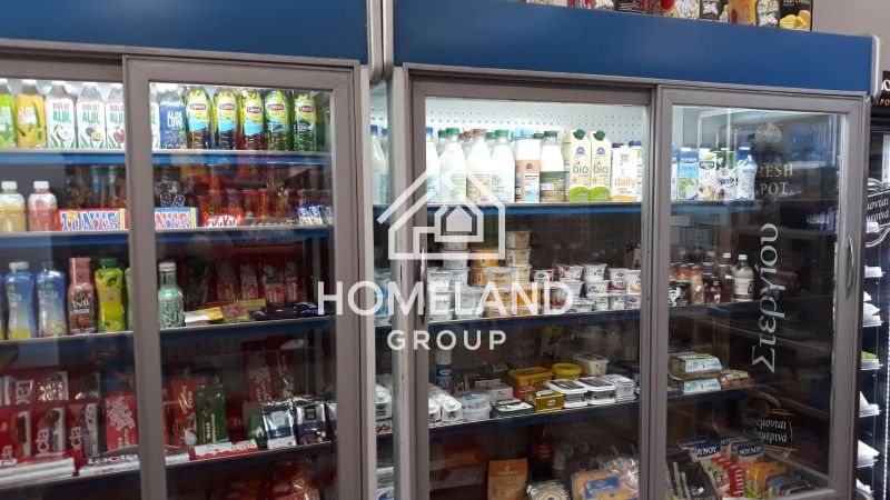 homelandgroup real estate agency