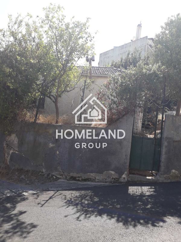 homelandgroup real estate agency