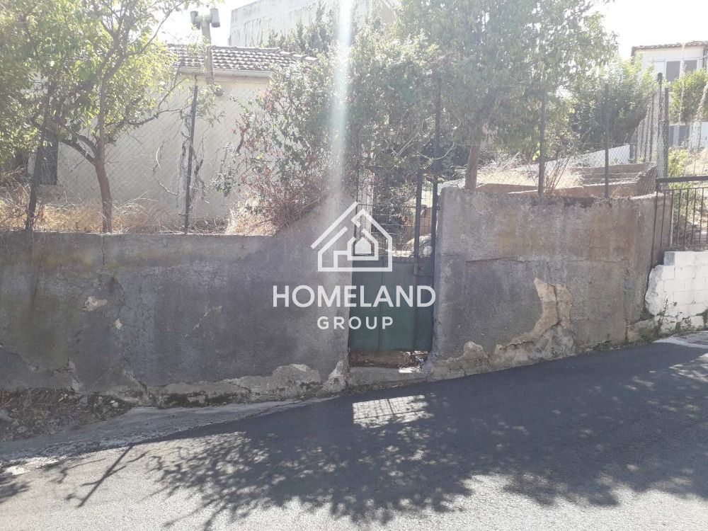 homelandgroup real estate agency