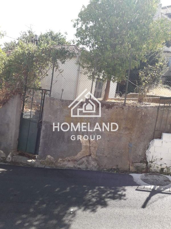 homelandgroup real estate agency