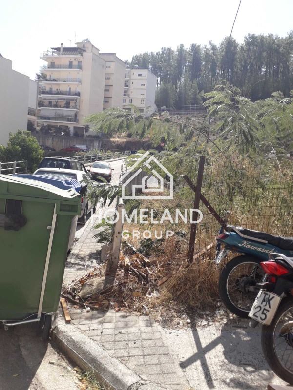 homelandgroup real estate agency