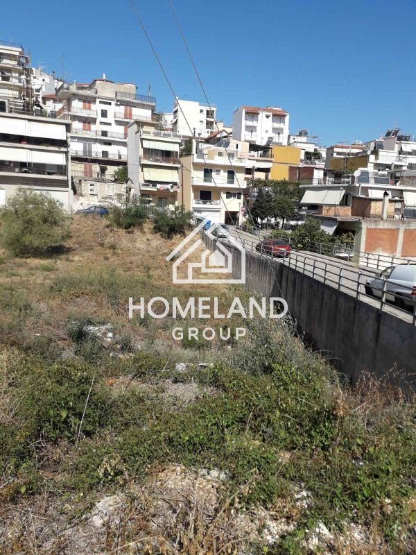 homelandgroup real estate agency