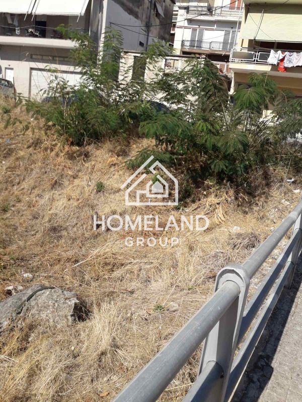 homelandgroup real estate agency