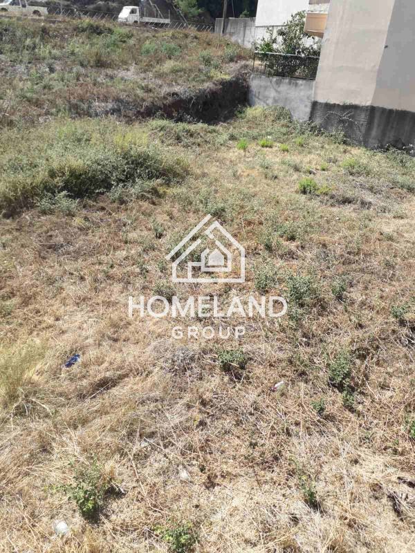 homelandgroup real estate agency