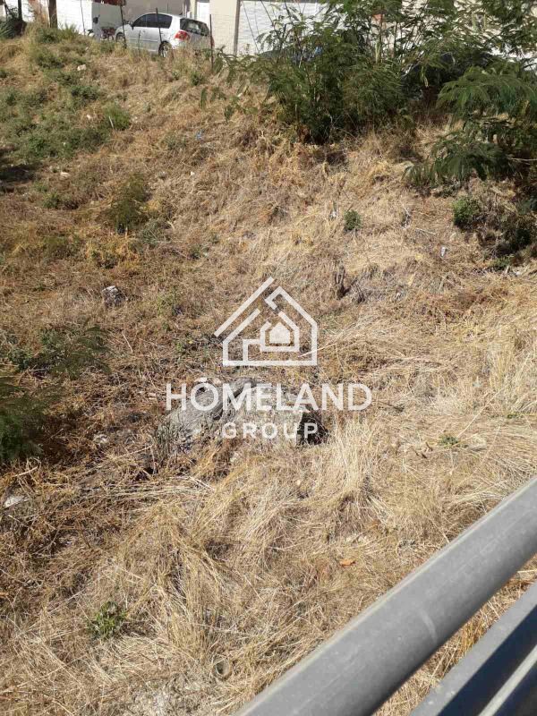 homelandgroup real estate agency