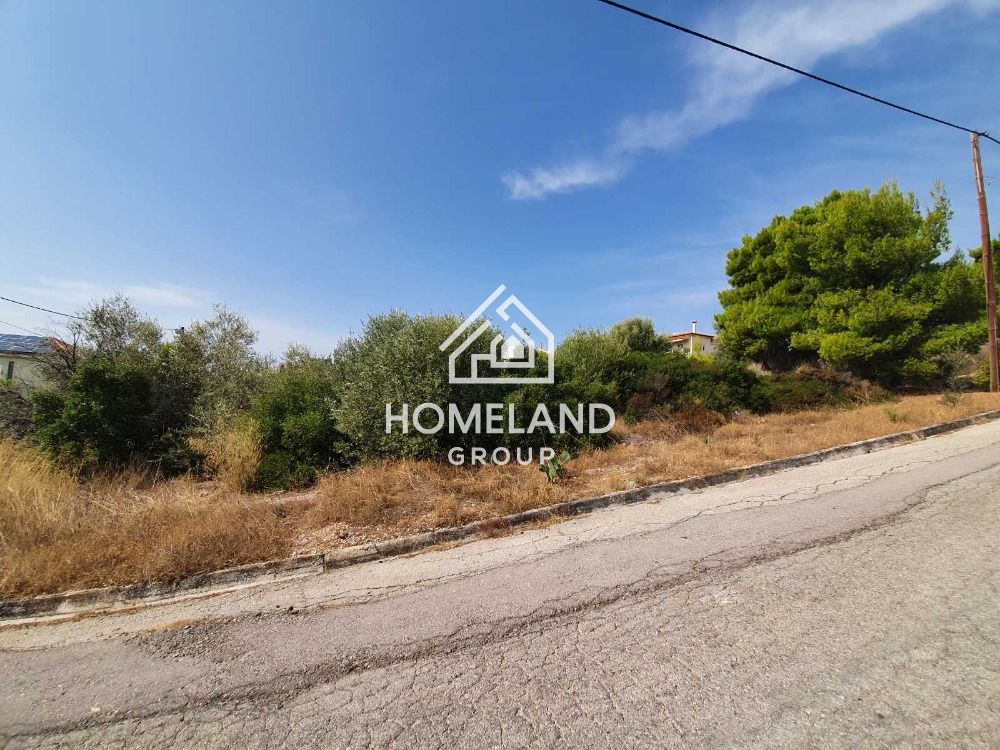 homelandgroup real estate agency