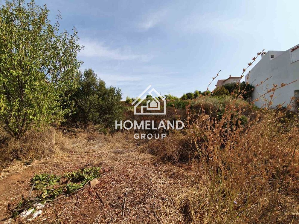 homelandgroup real estate agency