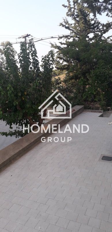 homelandgroup real estate agency