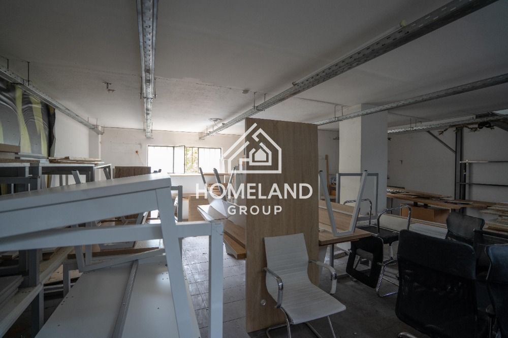 homelandgroup real estate agency