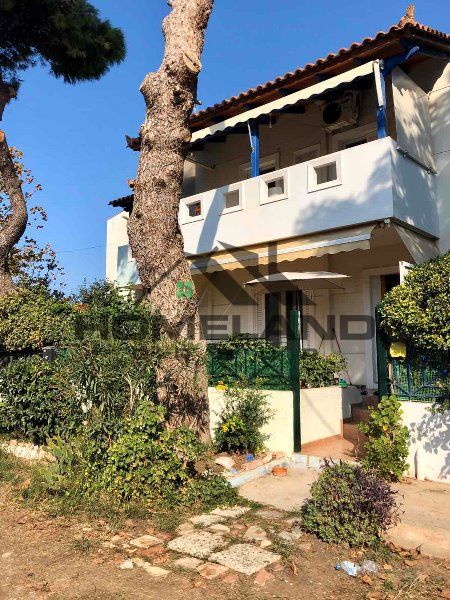 homelandgroup real estate agency
