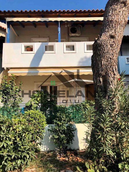 homelandgroup real estate agency