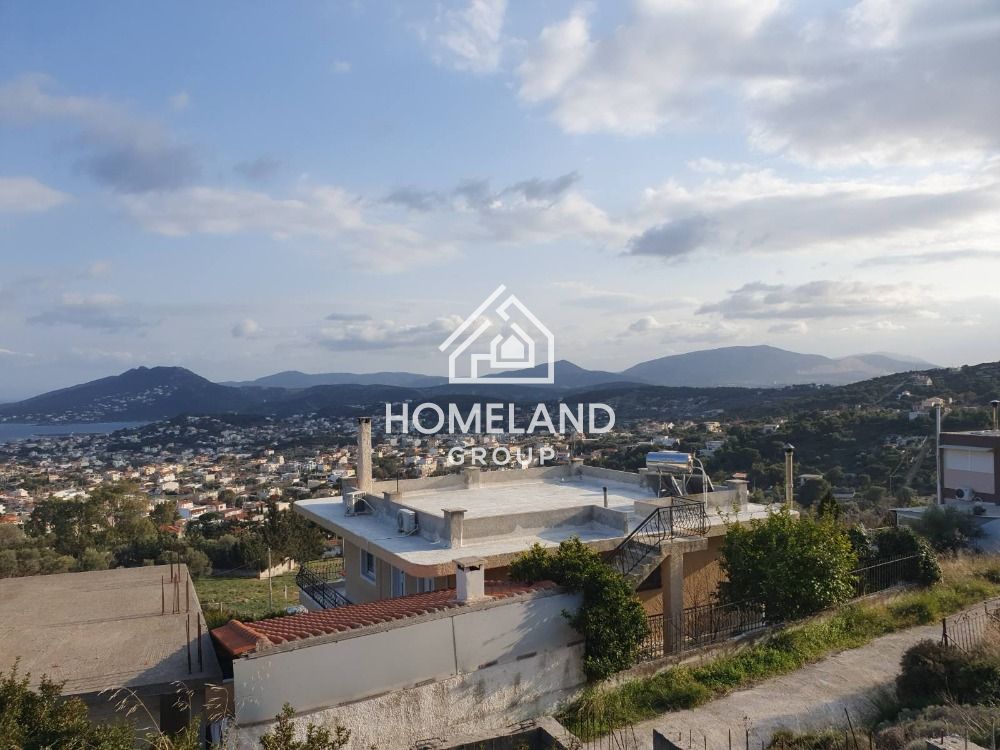 homelandgroup real estate agency