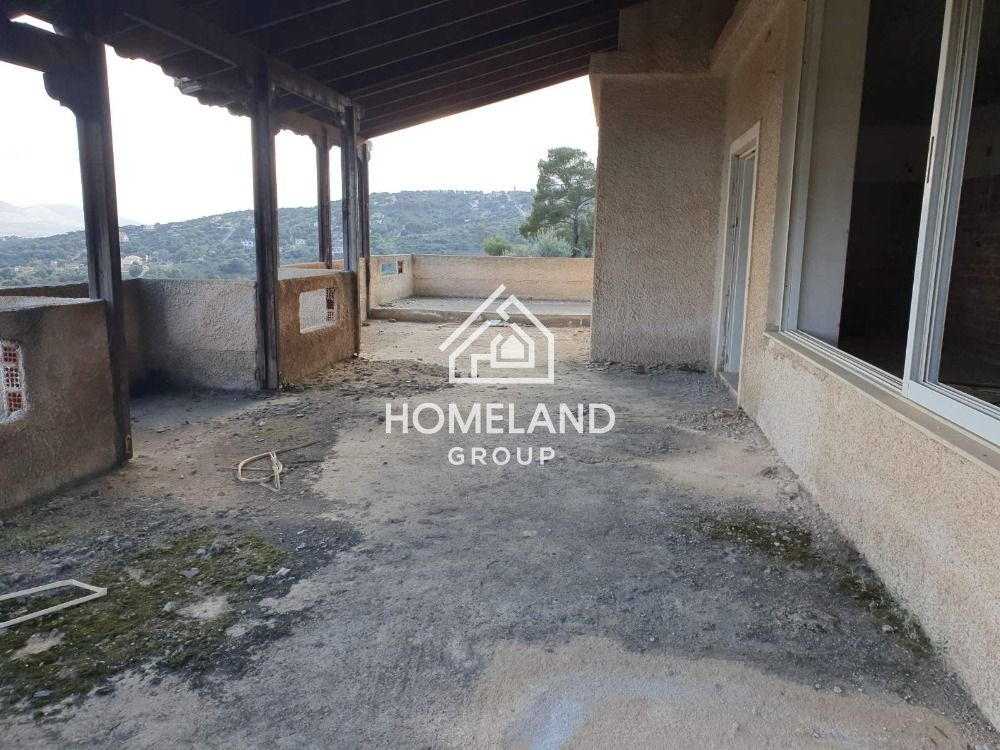 homelandgroup real estate agency