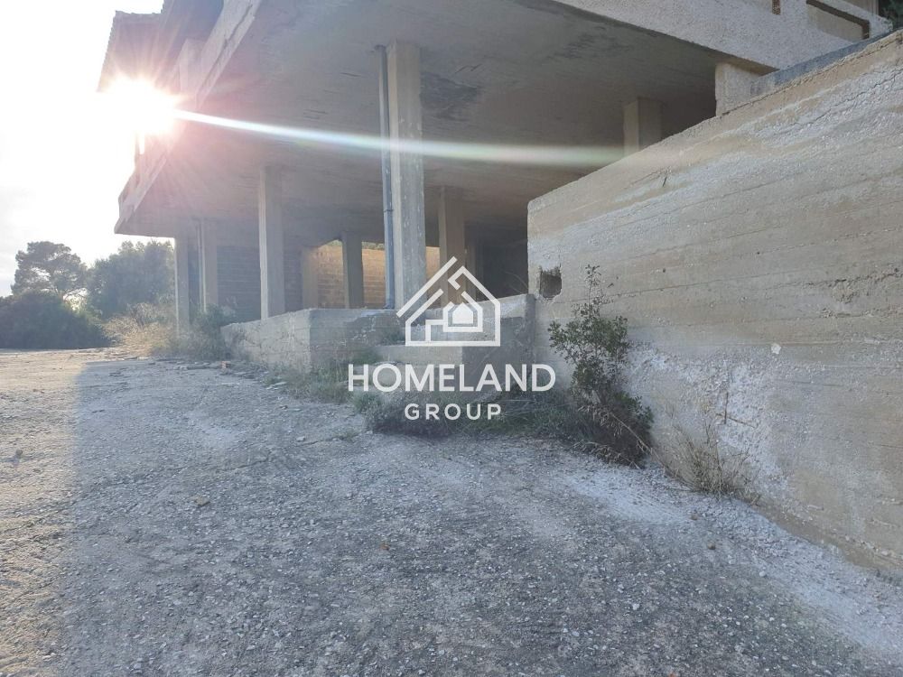 homelandgroup real estate agency