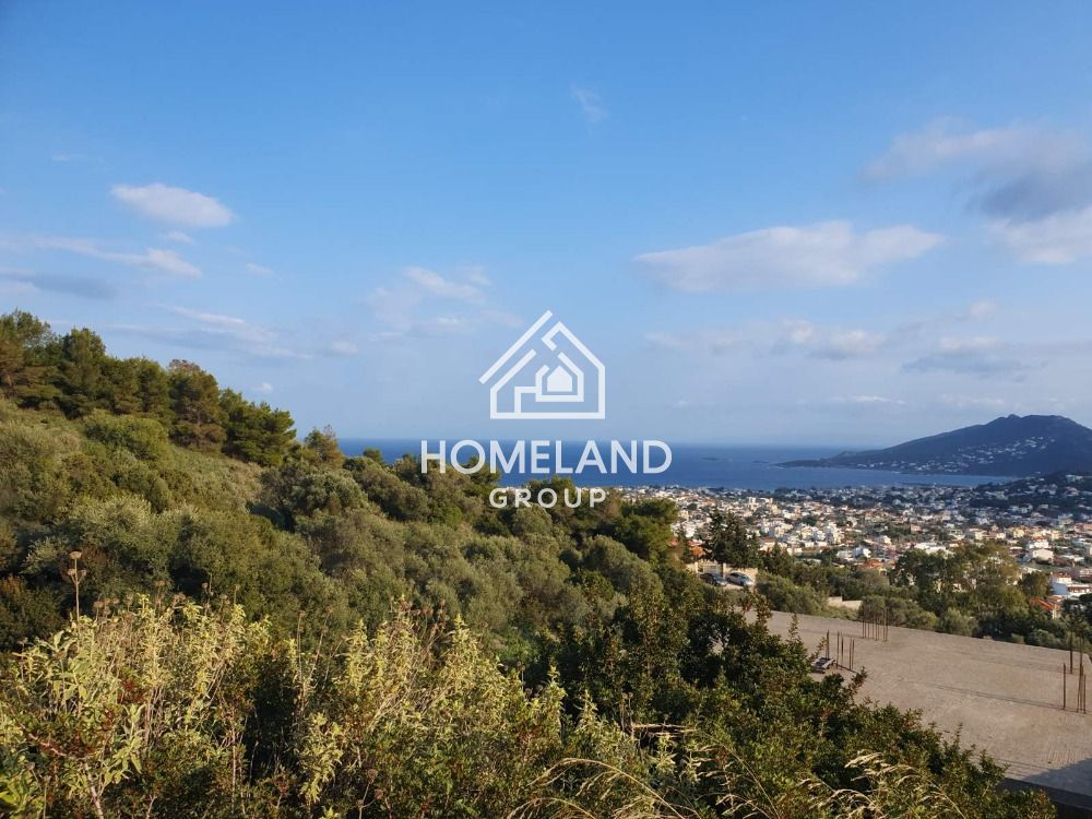 homelandgroup real estate agency