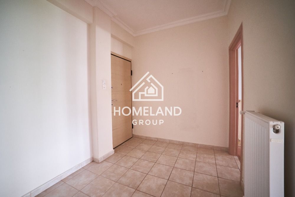 homelandgroup real estate agency