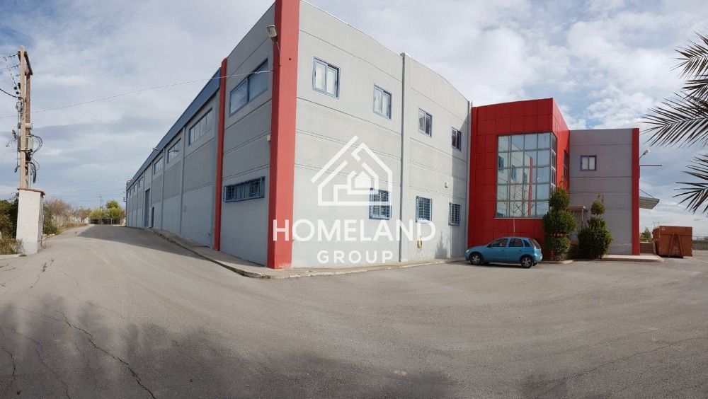 homelandgroup real estate agency