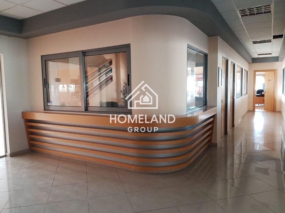 homelandgroup real estate agency