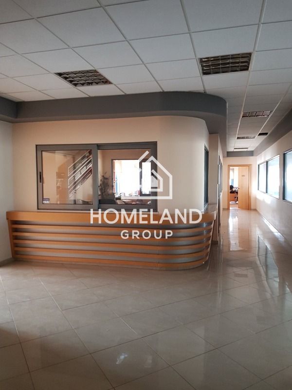 homelandgroup real estate agency