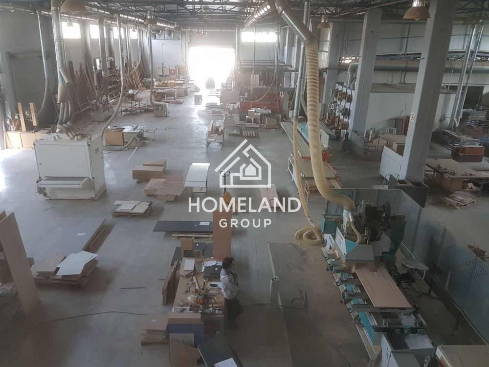 homelandgroup real estate agency