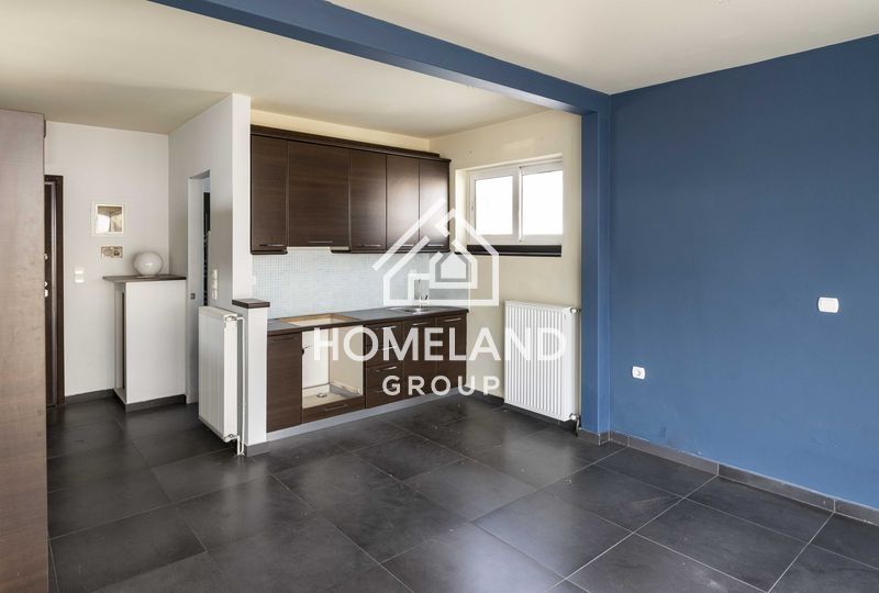 homelandgroup real estate agency