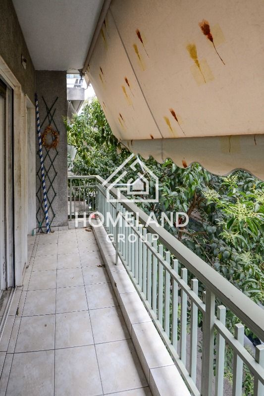 homelandgroup real estate agency